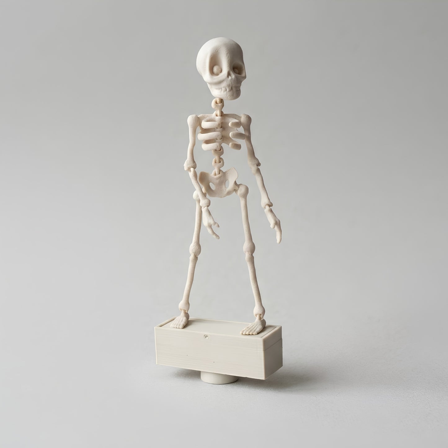 Skeleton Display Figure