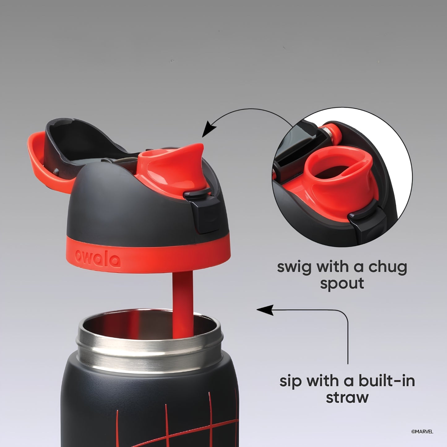 Insulated Water Bottle