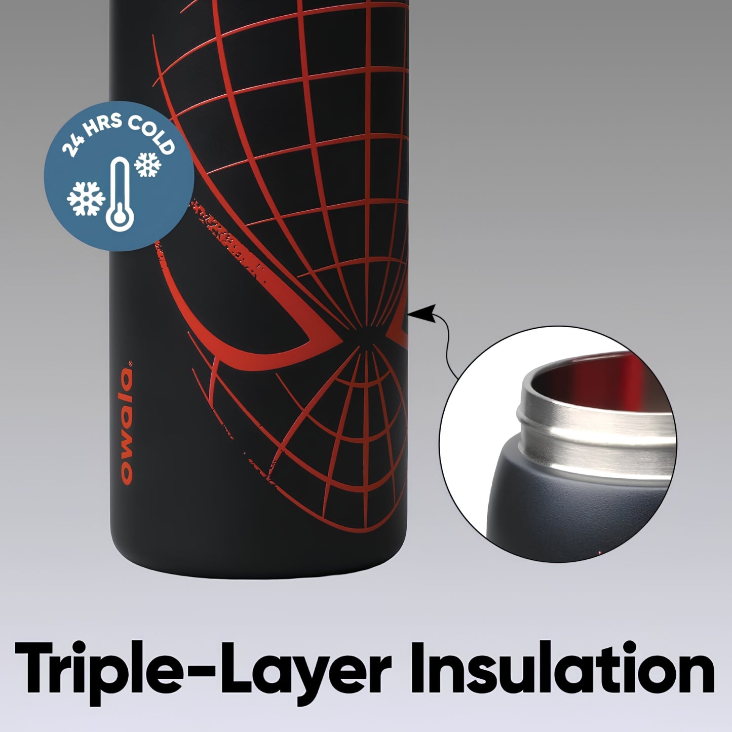Insulated Water Bottle