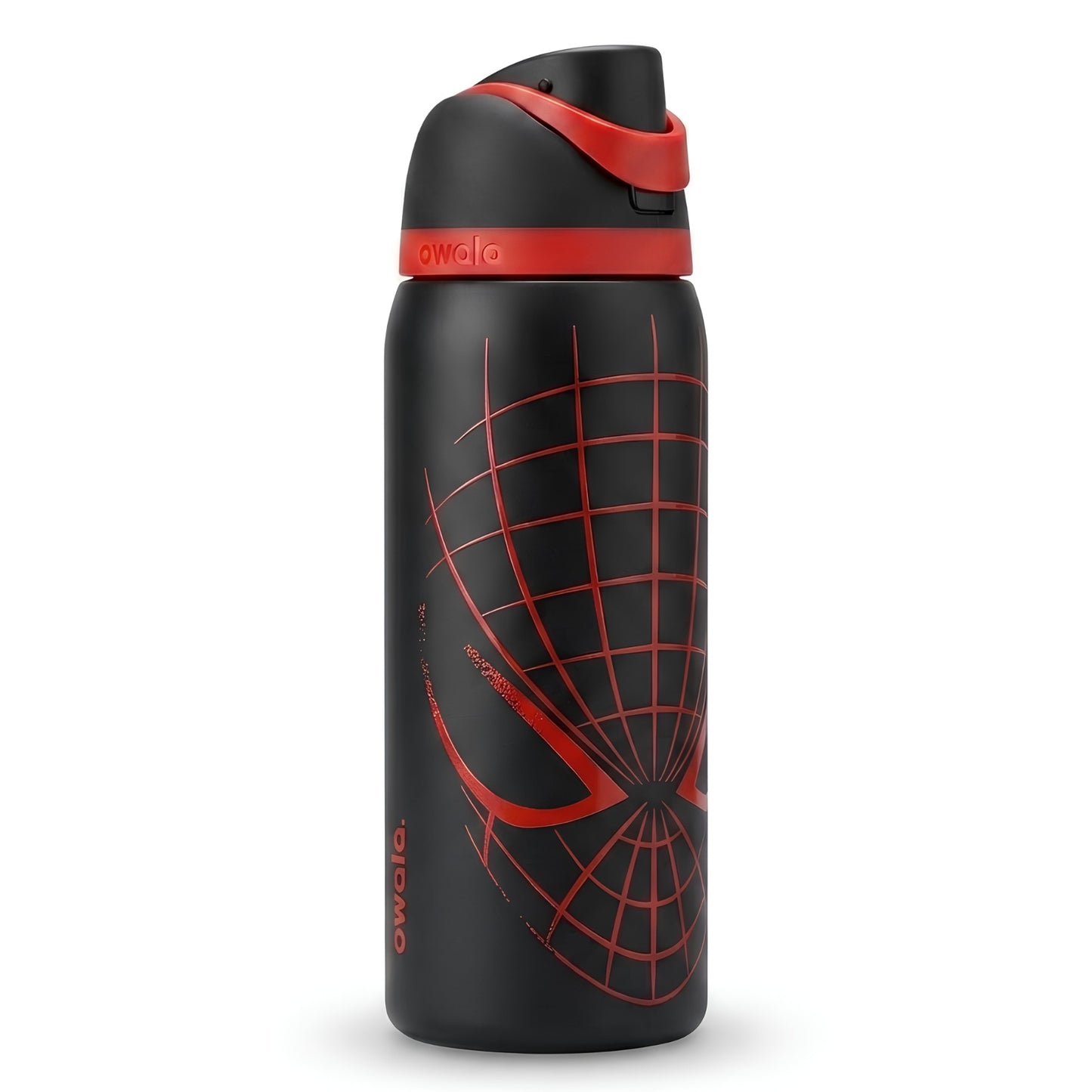 Insulated Water Bottle