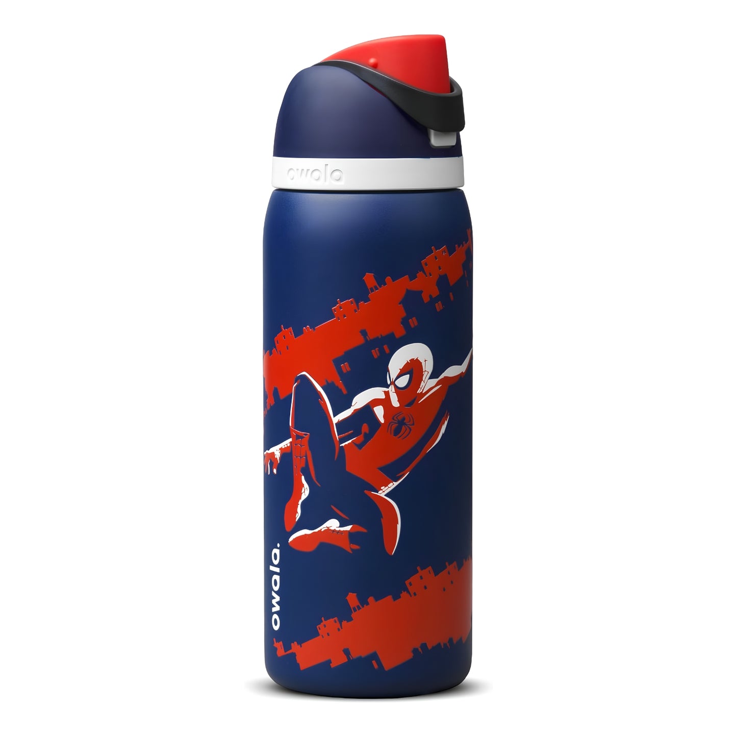 Insulated Water Bottle